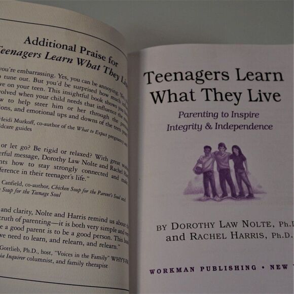 Teenagers Learn What They Live Parenting to Inspire Integrity & Independence - Picture 6 of 10